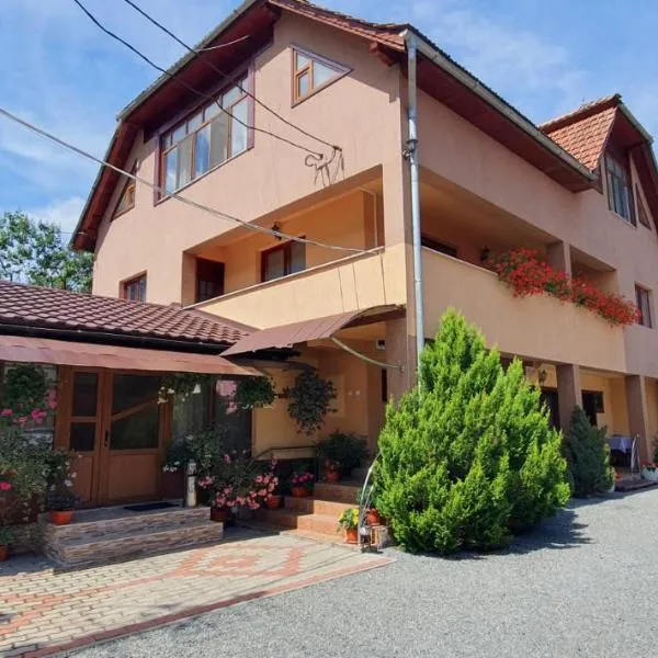 Pensiunea Apuseni, hotel v destinaci Vidra