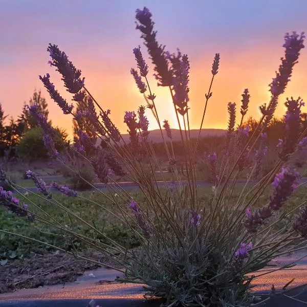 Lavender Row Farm，莫斯吉爾的飯店