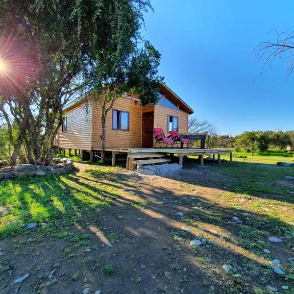 Cabañas Llepu, hotel in Longaví