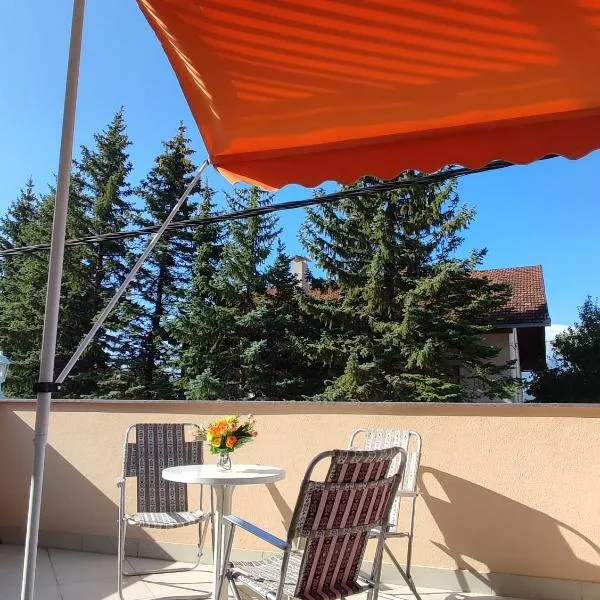 Apartman Bor, hótel í Livno