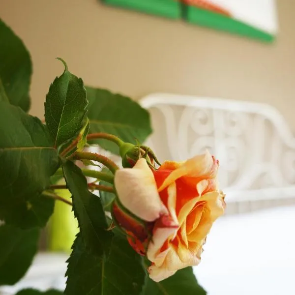 Alexander Rooms, hotel v destinaci Tirano