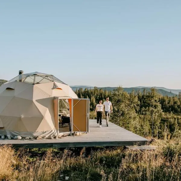 Arctic Dome Namdalen, hotel in Hoylandet