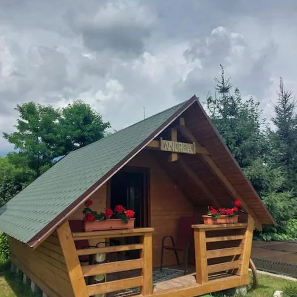 Căbănuță la Munte cu Piscină, hotel di Vîrtop