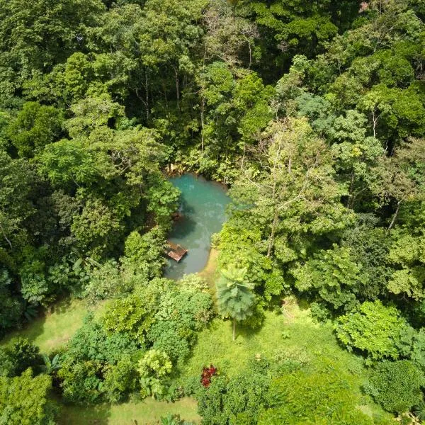 Santuario de Ranas - Explora nuestro paraíso natural, hotel di Colonia Palmareña