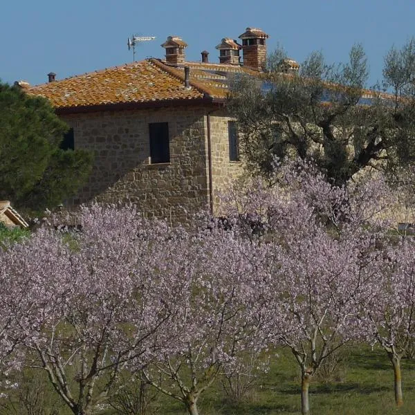 Agriturismo Il Sassolino, hotel v destinaci Ripalvella