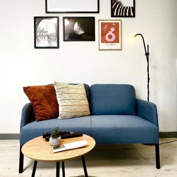 Chic Studio, hotel in Timişoara