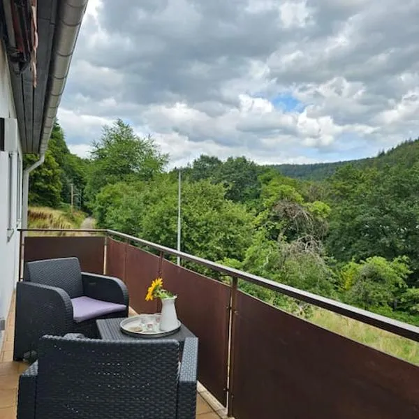 Große Ferienwohnung am Waldrand, khách sạn ở Schönau