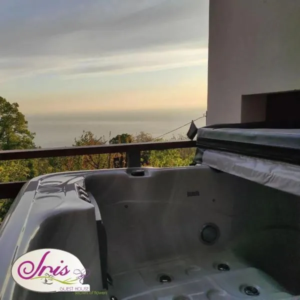Iris Stone Villa with Jacuzzi, hotel en Tsagkarada