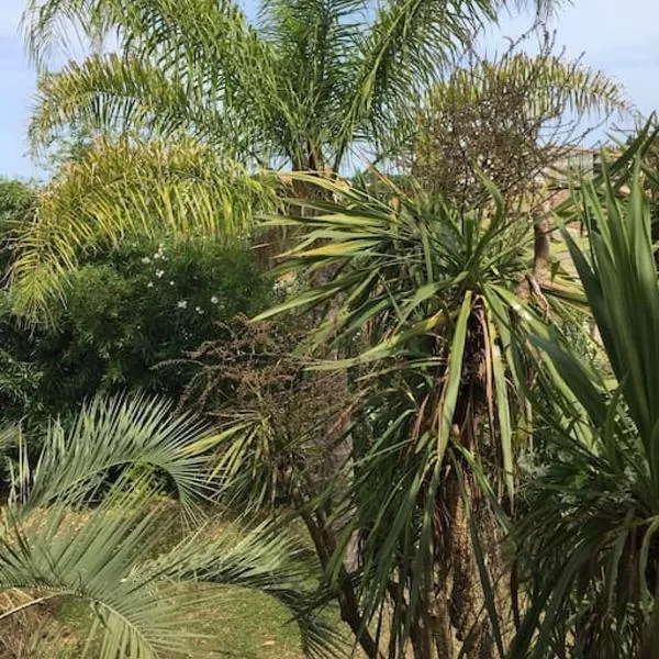 Mare è Monte , jardin méditerranéen et exotique., hotel u gradu Gizonača