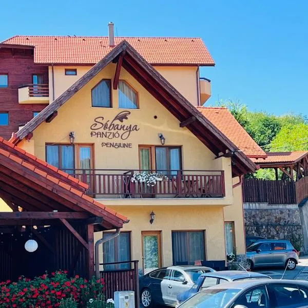 Sóbanya Panzió, hotel v destinaci Praid