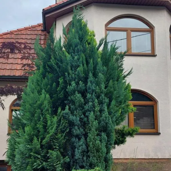 Rodinný apartmán Alma, hotel in Bojnice