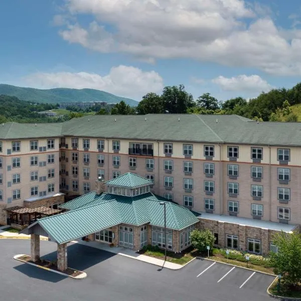 Hilton Garden Inn Roanoke, hotell i Roanoke