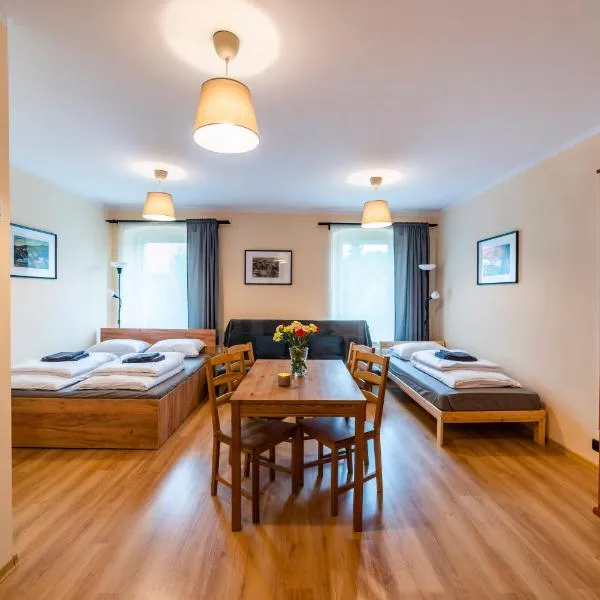 Apartament - Nocna Sowa, hotel in Głuszyca