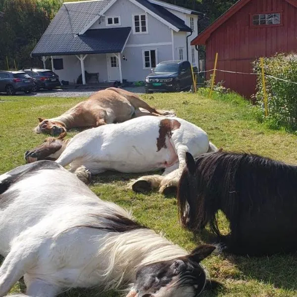 Øyfoss overnatting, hotel v mestu Fyresdal