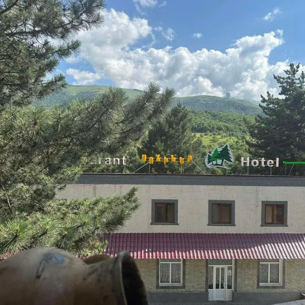 Sochiner Hotel, hotel in Vanadzor