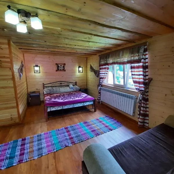 Садиба У Ані номер 4, hotel v destinaci Siněvirská Poljana
