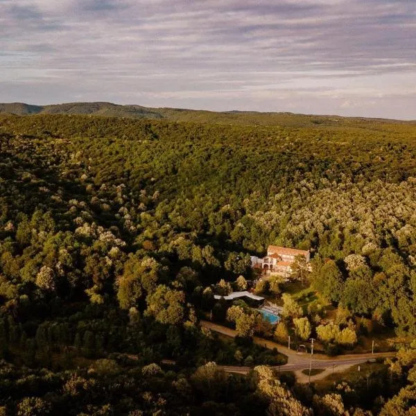 Hotel McPietroasa, hotel v mestu Haleş