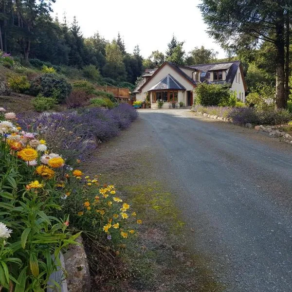 FOREST VIEW Woodland lodge, hotel in Roundwood