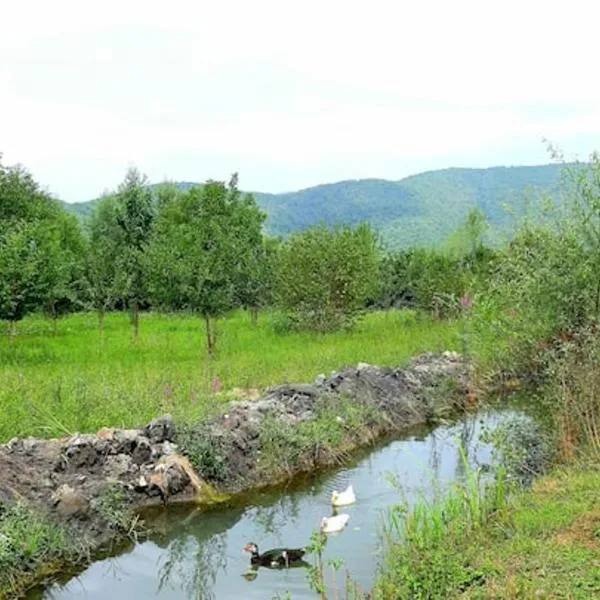 Old oak under the Mountain., hotel a Yengica