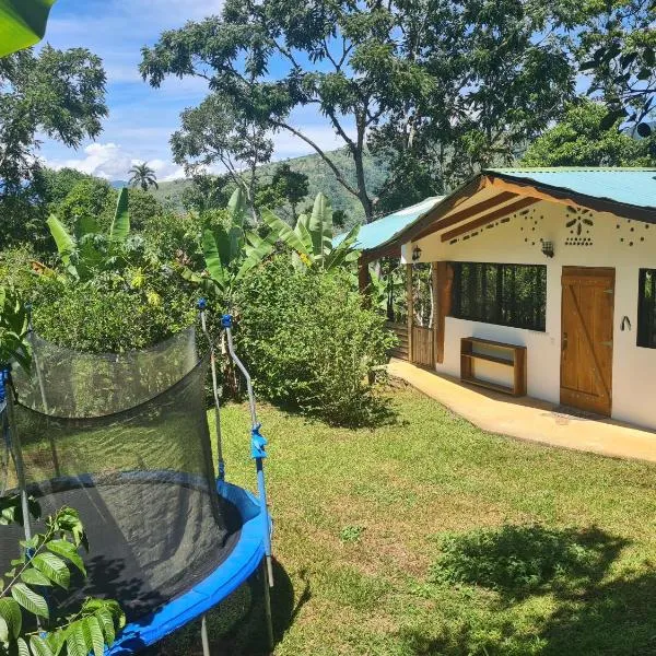 Finca Soley, hotel in Tucurrique