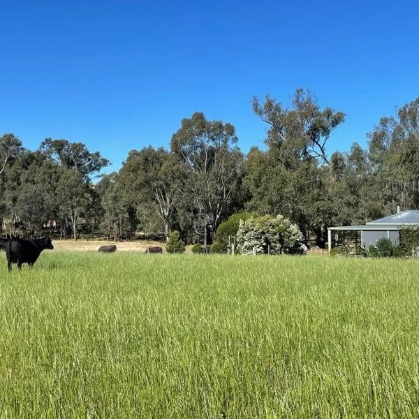 Bogaroo Cottage, hotel en Swanpool