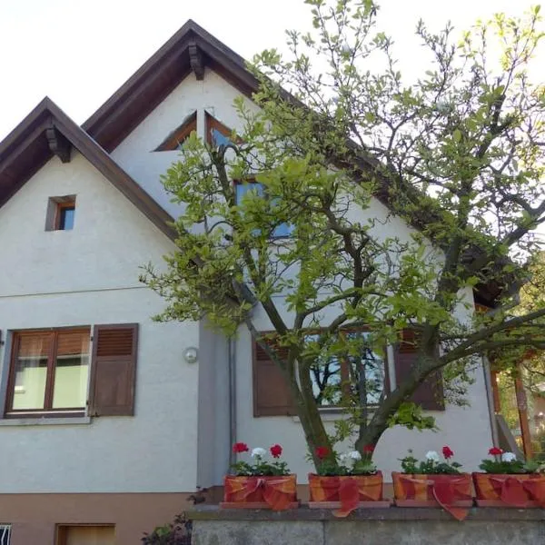 GITE SPACIEUX AU COEUR DE L'ALSACE 3***, hotel v destinaci Sélestat