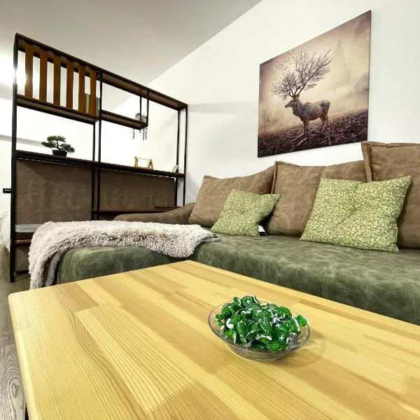 Cozy Bliss Studio in Sinaia w. Free parking, Hotel in Sinaia