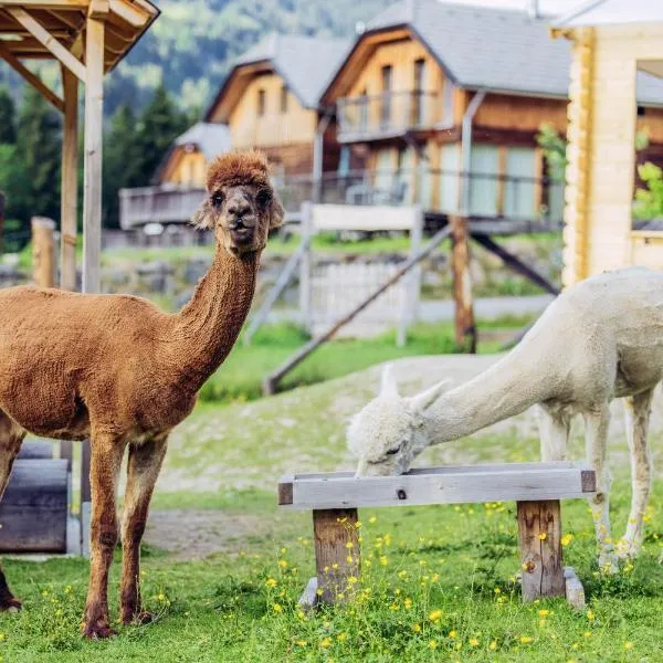 Alpenchalét Alpakablick, hotel in Sankt Lorenzen ob Murau