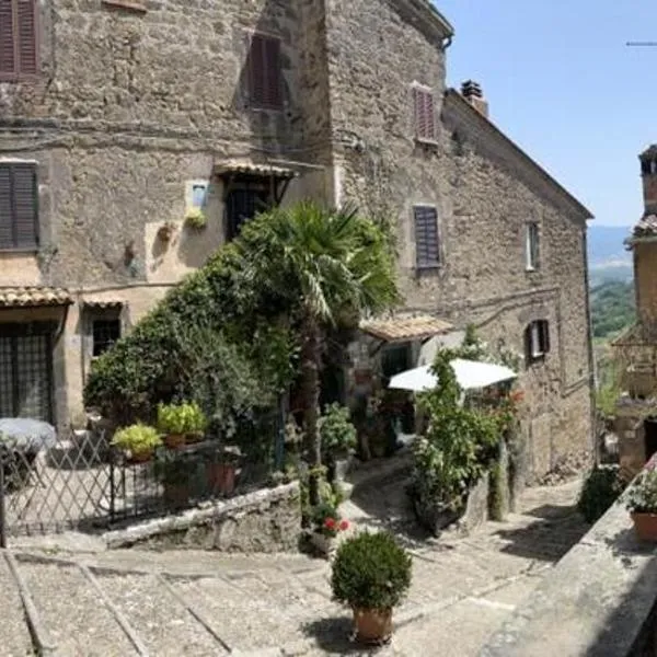 Cortile Nel Borgo, hotel in Civitella dʼAgliano