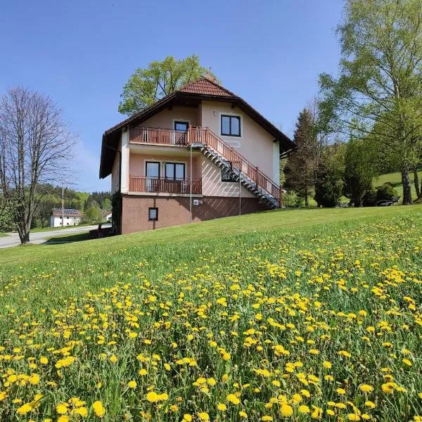 Ferienhaus Schöller, hotel v destinaci Schönbach