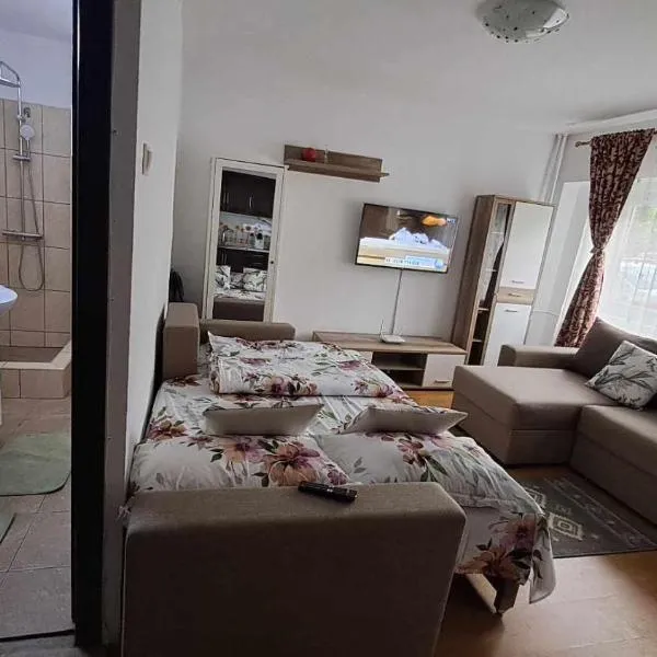 Garsonieră La Felix, hotel v destinaci Băile Felix