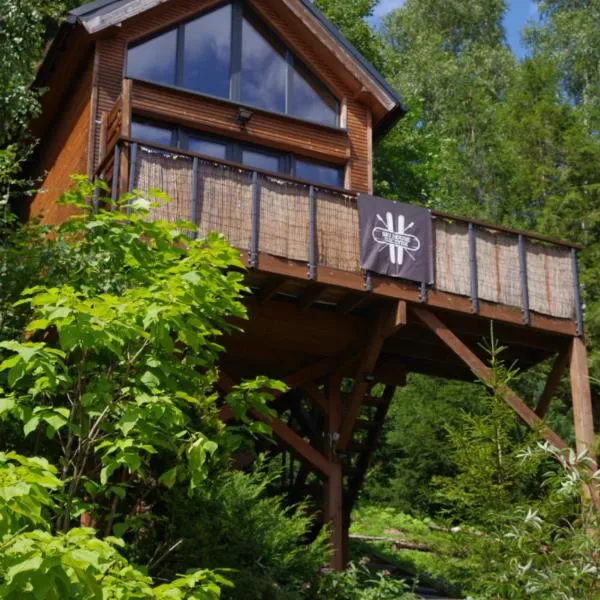 Ski House Szczyrk - Domek Na Kurzej Łapce, hotel v destinaci Szczyrk