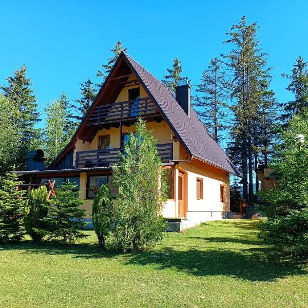 Apartmani ( VILA ) Vucko、ヴラシチのホテル