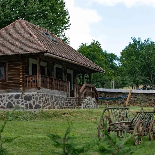 Due Fratelli Village Resort, hotel v destinaci Şinteu