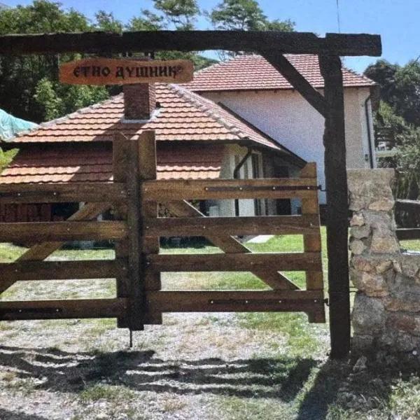 Etno Dušnik, hotell sihtkohas Bela Palanka