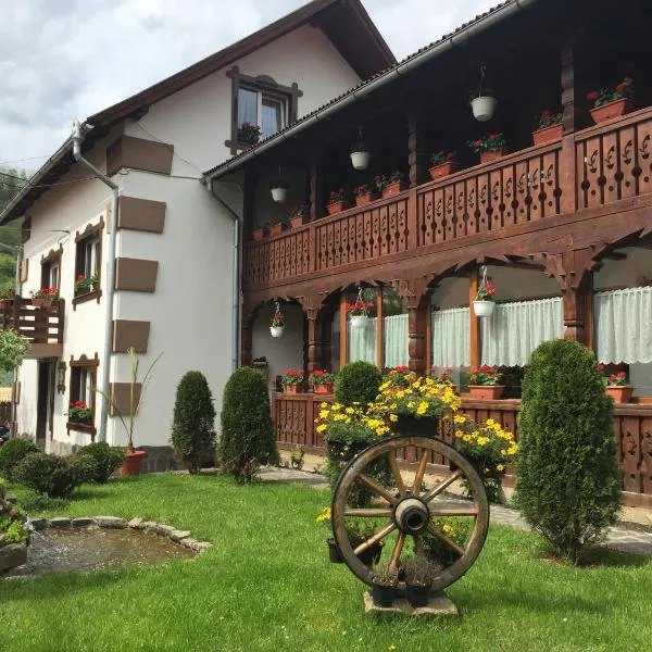 Pensiunea Cretuca, hotel in Slătioara