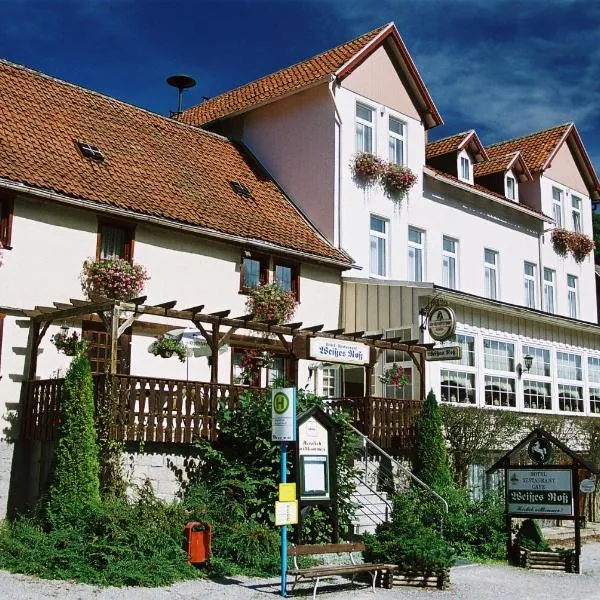 Hotel Weißes Roß, hotel en Altenbrak