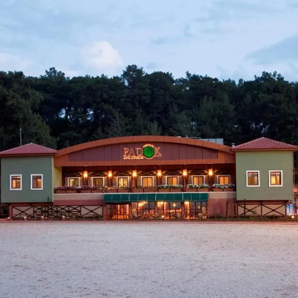 Padok Premium Hotel & Stables, hotel v destinaci Gökova