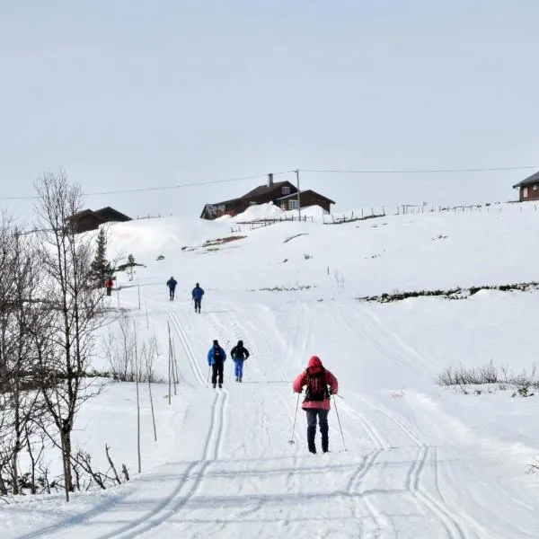 Havsdalsgrenda Geilo Apartments, hotel em Hovet