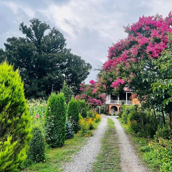 Guesthouse Kamelia, hotel a Martvili