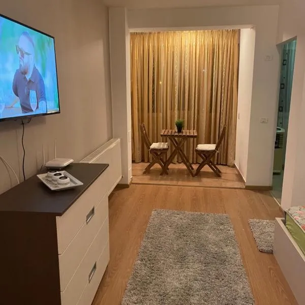 Garsoniera Single Room 19, viešbutis Bukarešte