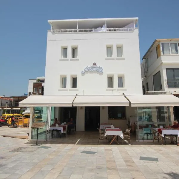 Artemis Hotel, hotel en Kocaalagölköy