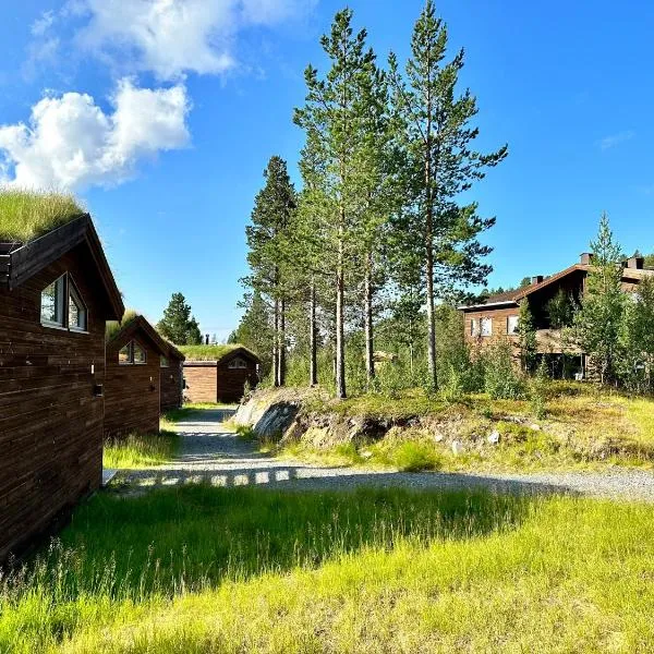 Bjørnfjell Mountain Lodge, hotelli Alattiossa