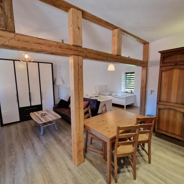 Apartment auf dem Hof einer historischen Mühle, hotel v mestu Holzhausen