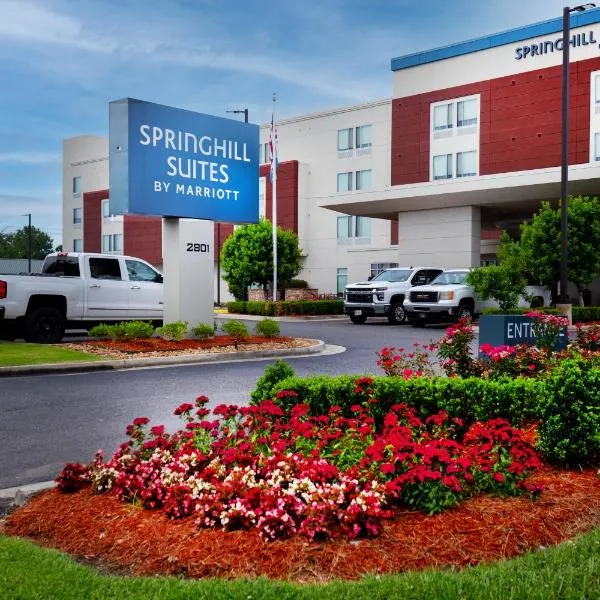 SpringHill Suites by Marriott Baton Rouge Gonzales, hotel in Gonzales