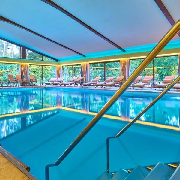 Hotel Das Bayerwald, готель у місті Лам