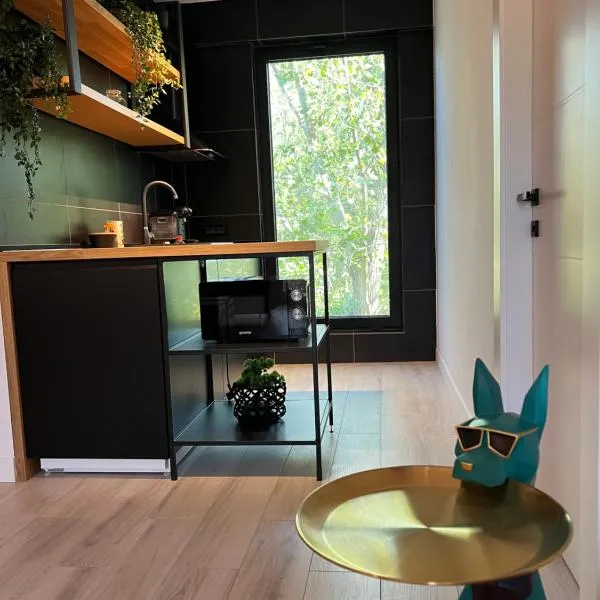 Apartament 3 camere Vila Cristal, Hotel in Neptun