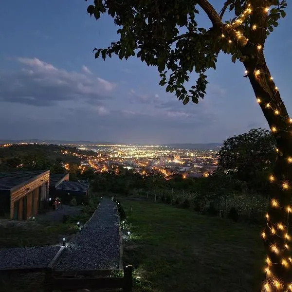 Pensiunea Bella Vista Turda, hotel in Turda