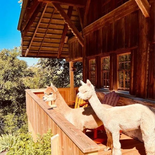 Alpaka-Ferienhaus Oenzlen, hotel a Wynigen