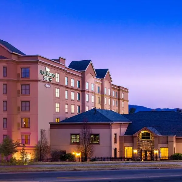 Homewood Suites by Hilton Asheville: Asheville şehrinde bir otel